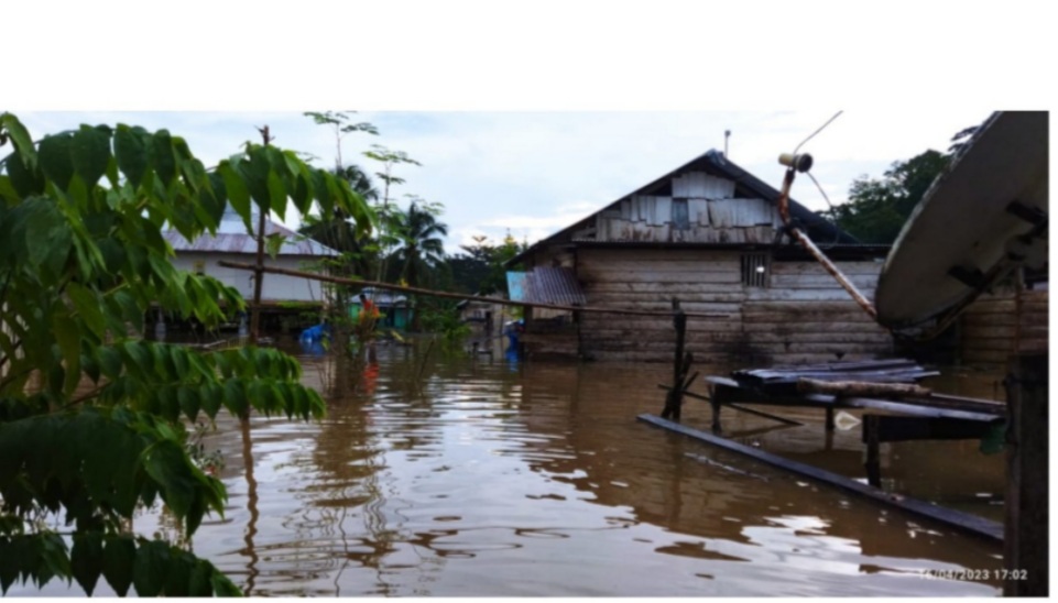 Puluhan Rumah dan 12 Ha Sawah di Lasembangi Jadi Langganan Banjir Puluhan Rumah dan 12 Ha Sawah di Lasembangi Jadi Langganan Banjir