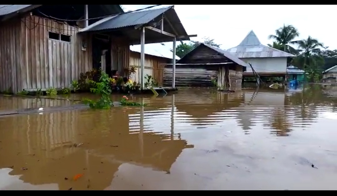 Puluhan Rumah dan 12 Ha Sawah di Lasembangi Jadi Langganan Banjir