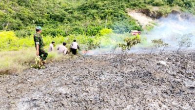 Polsek Sampolawa, TNI dan Damkar Kompak Padamkan Kebakaran Hutan dan Lahan di Desa Sandang