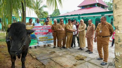 Pemkab Buton Terima Sapi Presiden dari Pemprov Sultra