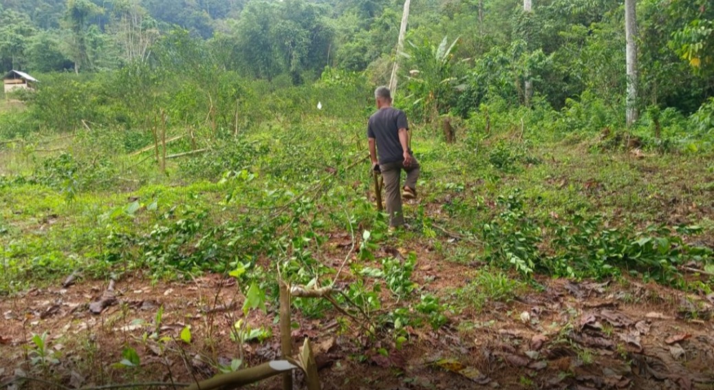 Polisi Amankan Dua Pelaku Pengrusakan Kebun Warga Kapontori