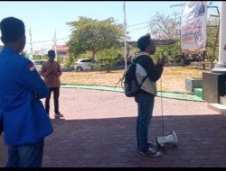 Tolak Pemugaran Situs Batu Popaua Mahasiswa di Baubau Demo