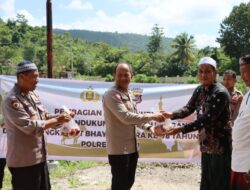 Polres Buton Kurban 10 Ekor Sapi