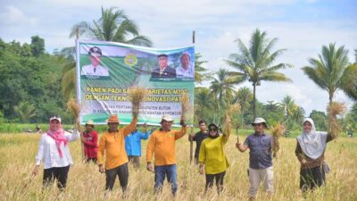 Pemkab Buton Panen Padi di Kapontori