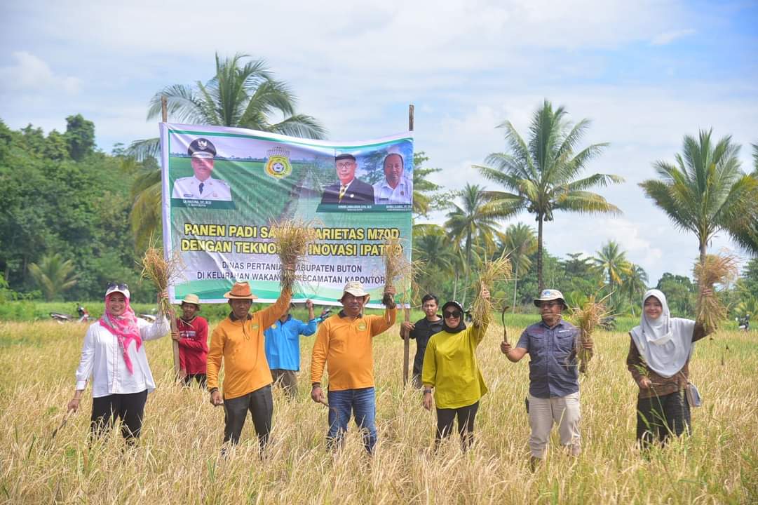 Pemkab Buton Panen Padi di Kapontori