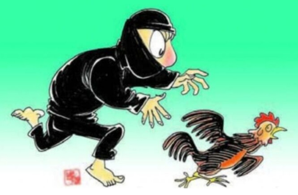 Marak Maling Ayam di Batumotongka, Warga Resah