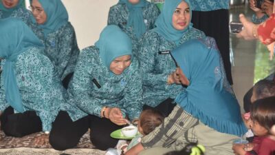 TP PKK Gelar Pelatihan Kader Posyandu di Sampuabalo