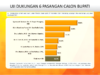 Survei Media Track, Paslon Bupati Syara Unggul Disusul Alvin-Sarifudin