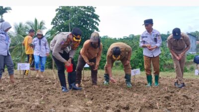 Polres Buton Gelar Penanaman Jagung Serentak 1 Juta Hektar