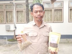 Mengenal Kopi Kaongke-Ongkea, Cita Rasa Semakin Enak jika Disimpan Tahunan