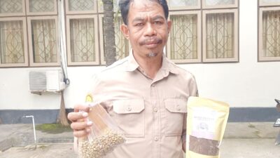 Mengenal Kopi Kaongke-Ongkea, Cita Rasa Semakin Enak jika Disimpan Tahunan