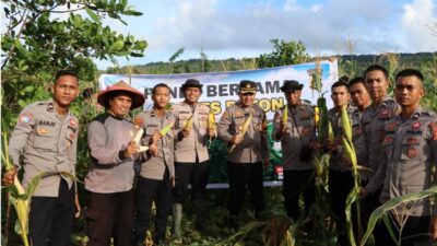 Dukung Asta Cita Presiden RI, Wakapolres Buton Panen Raya Jagung