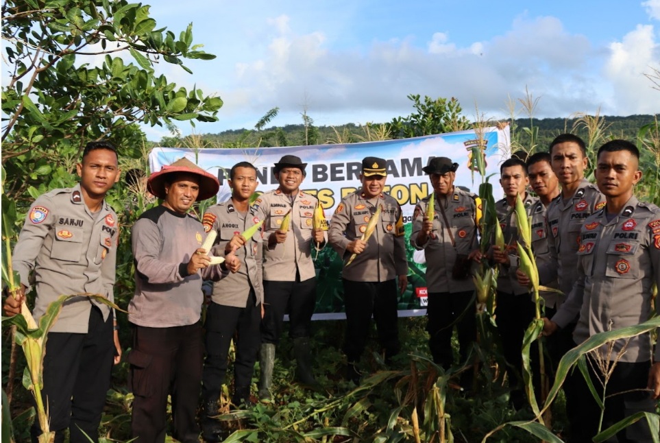 Dukung Asta Cita Presiden RI, Wakapolres Buton Panen Raya Jagung