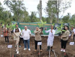 Wamen ATR/Waka BPN Tanam Pisang di Jembrana, Wujud Penataan Akses Tanah Ulayat Pertama di Indonesia