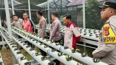 Ditbinmas Polda Sultra Tinjau Kebun Ketahanan Pangan Binaan Polres Buton