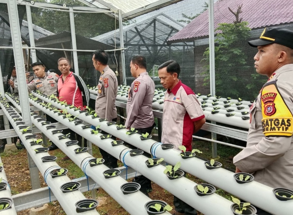 Ditbinmas Polda Sultra Tinjau Kebun Ketahanan Pangan Binaan Polres Buton