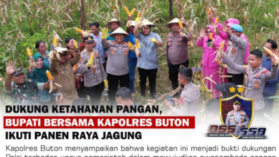 Bupati Bersama Kapolres Buton Panen Raya Jagung di Desa Siomanuru