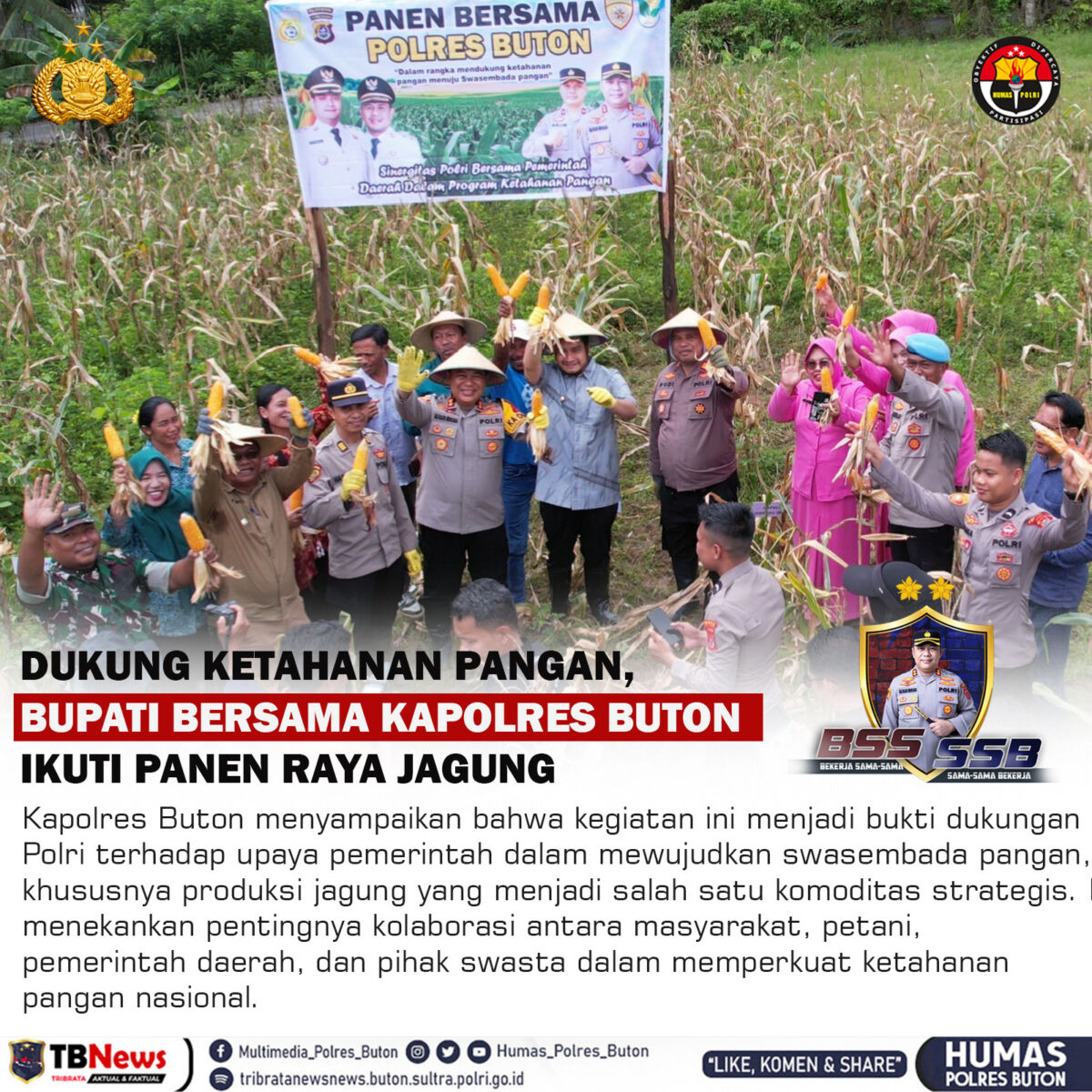 Bupati Bersama Kapolres Buton Panen Raya Jagung di Desa Siomanuru