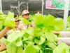 Kapolres Buton Panen “Sawi” Bersama Warga