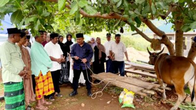 Kapolres Buton Serahkan Hewan Qurban Kepada Ponpes Al Ikhlas