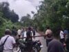 Pohon Tumbang dan Tiang Listrik Roboh, Akses Jalan Nyaris Lumpuh di Wolowa