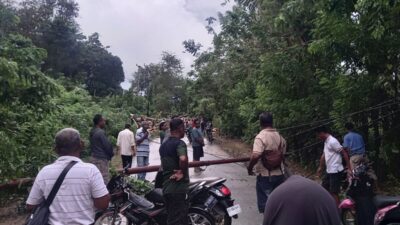 Pohon Tumbang dan Tiang Listrik Roboh, Akses Jalan Nyaris Lumpuh di Wolowa