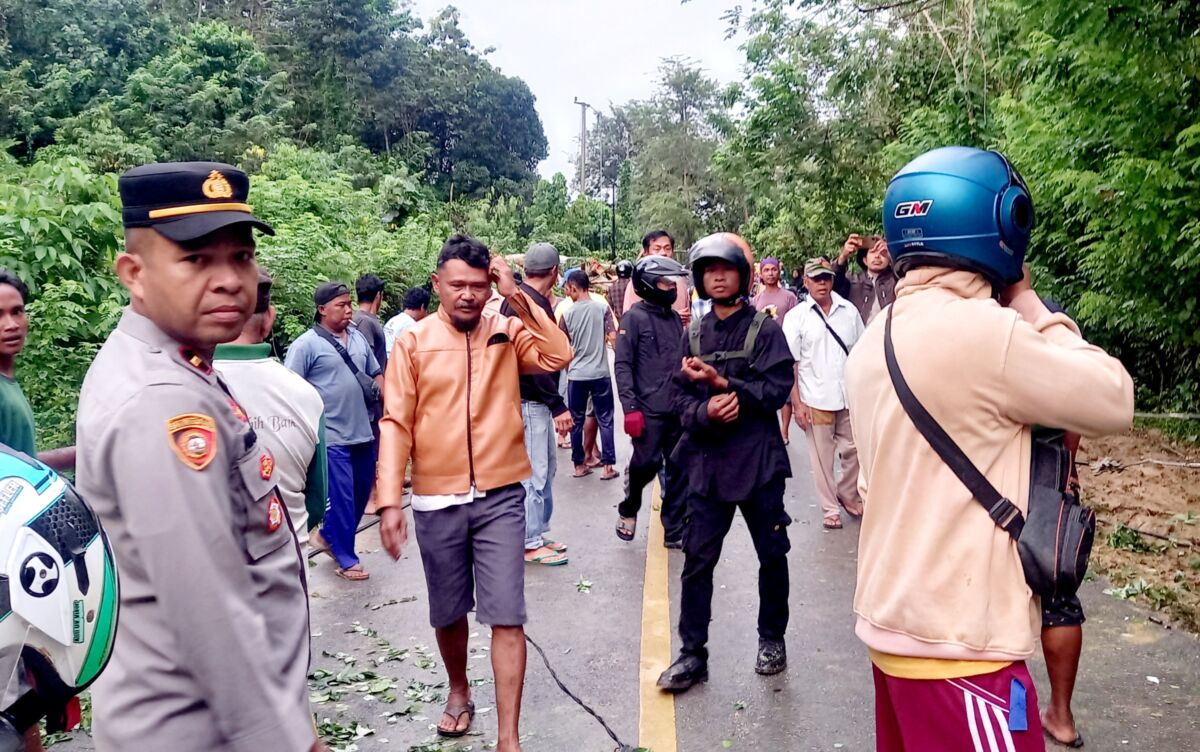 Pohon Tumbang dan Tiang Listrik Roboh, Akses Jalan Nyaris Lumpuh di Wolowa