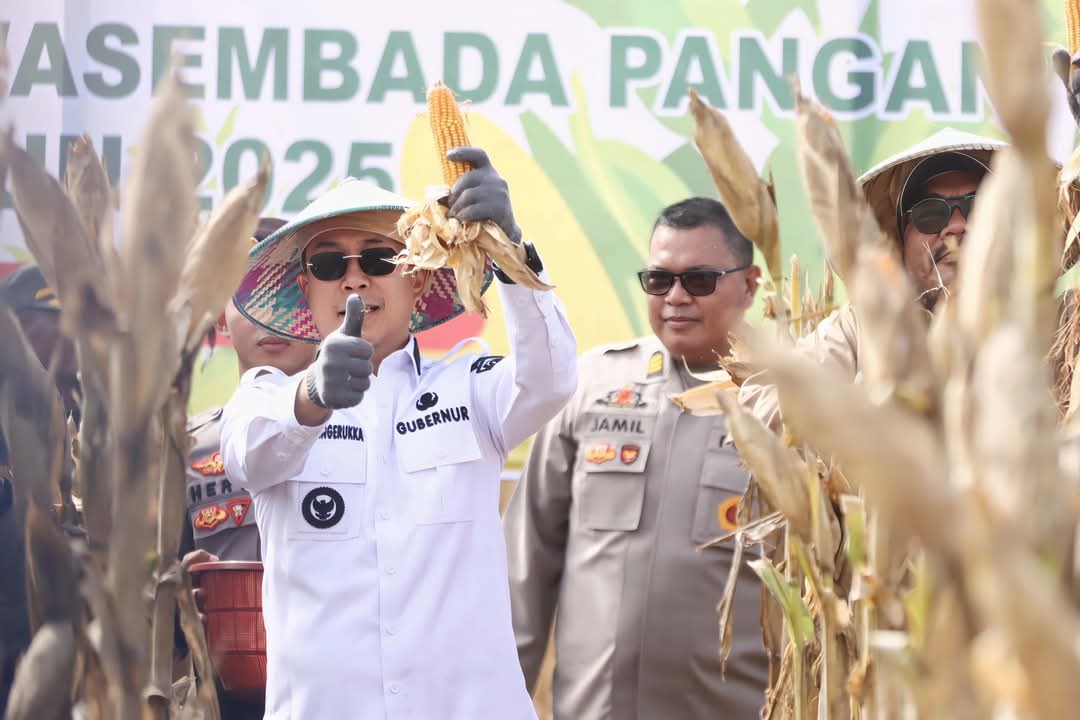 Gubernur Sultra Hadiri Panen Raya Jagung Serentak di Konawe Selatan