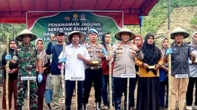 Dukung Ketahanan Pangan, Polres Buton Tanam Jagung Serentak