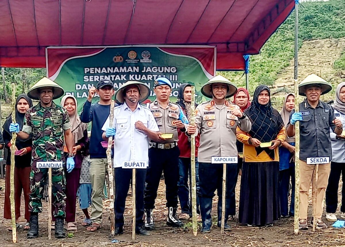 Dukung Ketahanan Pangan, Polres Buton Tanam Jagung Serentak