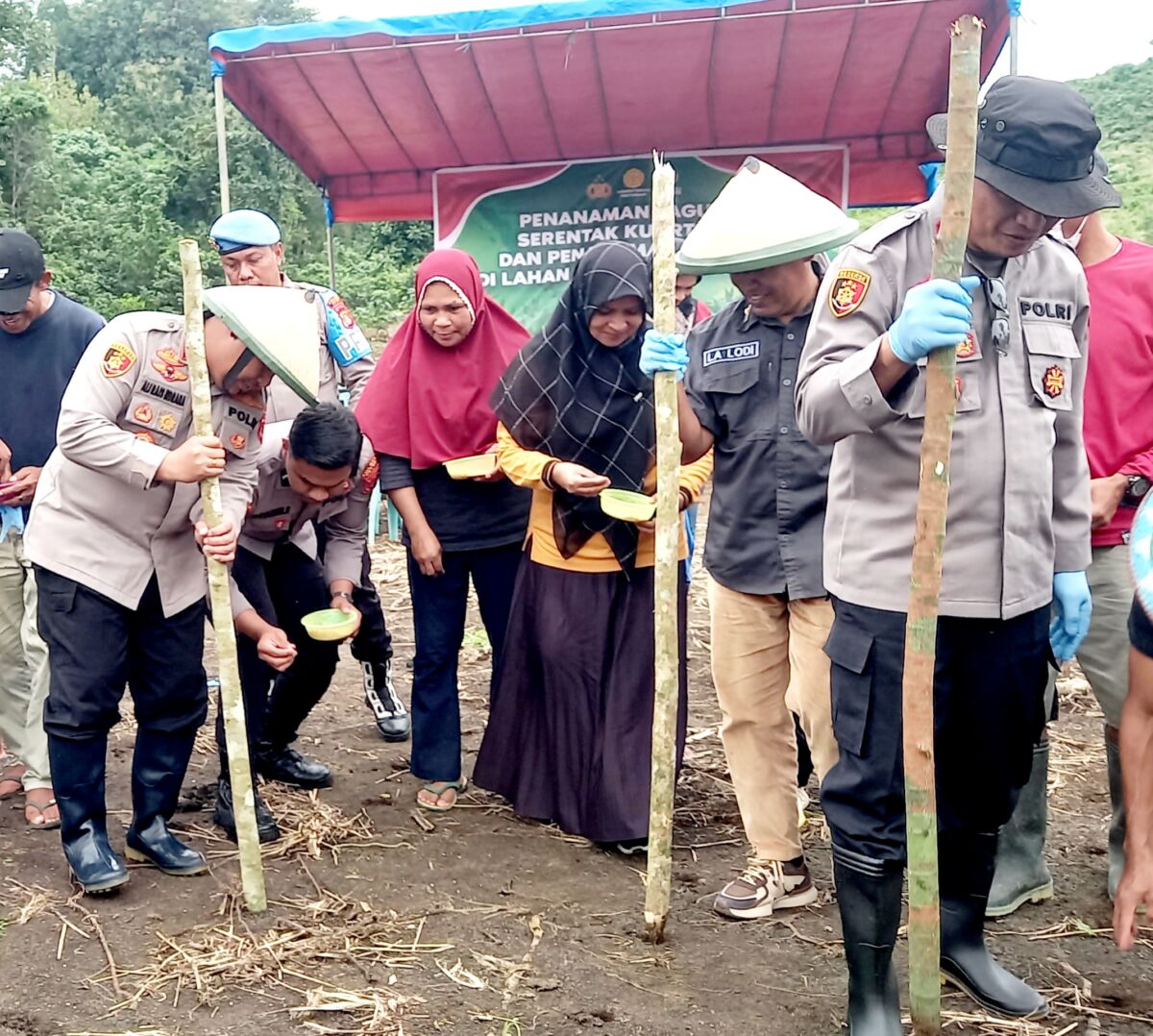 Dukung Ketahanan Pangan, Polres Buton Tanam Jagung Serentak Dukung Ketahanan Pangan, Polres Buton Tanam Jagung Serentak