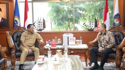 Gubernur Sultra Audiensi dengan Mendagri Jelang Rakornas PHD 2025