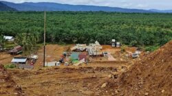Diduga Langgar Aturan Hutan, PT SBP Masuk Daftar Hitam KLHK dan Terancam Sanksi Berat