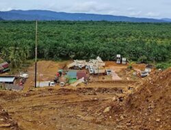 Diduga Langgar Aturan Hutan, PT SBP Masuk Daftar Hitam KLHK dan Terancam Sanksi Berat