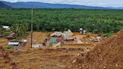 Diduga Langgar Aturan Hutan, PT SBP Masuk Daftar Hitam KLHK dan Terancam Sanksi Berat
