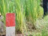 Mentri Nusron Himbau Warga Pasang Patok Batas Tanah dengan Bahan yang Permanen