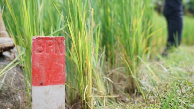 Mentri Nusron Himbau Warga Pasang Patok Batas Tanah dengan Bahan yang Permanen
