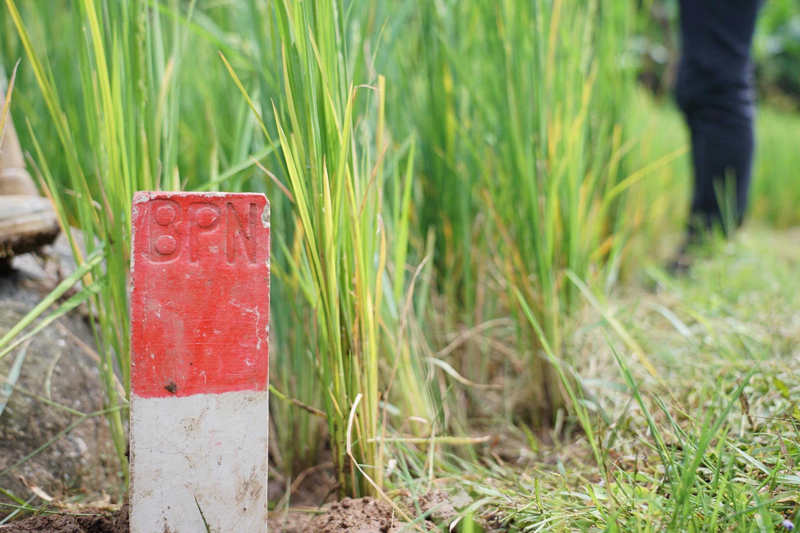 Mentri Nusron Himbau Warga Pasang Patok Batas Tanah dengan Bahan yang Permanen