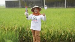 Kementerian ATR/BPN Gencar Sosialisasi Gemapatas