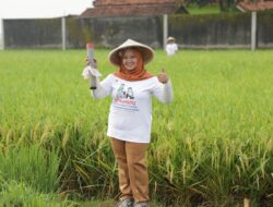 Kementerian ATR/BPN Gencar Sosialisasi Gemapatas