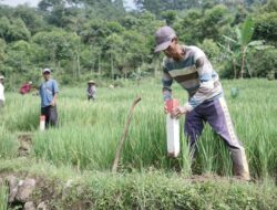 Kementrian ATR/BPN Canangkan Gerakan Masyarakat Pemasangan Tanda Batas