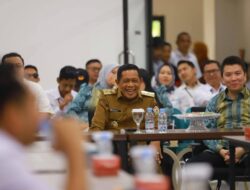 Hadiri Kunjungan Bisnis Monitoring PLN, Wagub Sultra Dorong Pemanfaatan Energi Terbarukan