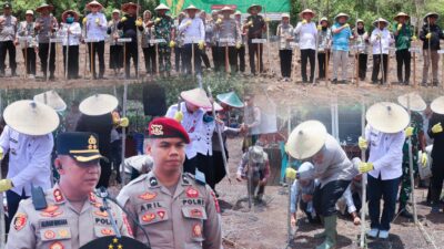 Dukung Ketahanan Pangan Nasional, Polres Buton Gagas Penanaman 127, 96 Ha Jagung