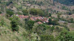 Mengenal Desa Nunuk Baru Ratusan Tahun tanpa "Sertipikat" Mengenal Desa Nunuk Baru Ratusan Tahun tanpa "Sertipikat"