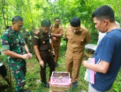 Bupati bersama Muspida tinjau madu trigona di Kancinaa