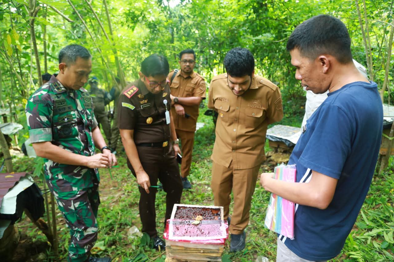 Bupati bersama Muspida tinjau madu trigona di Kancinaa