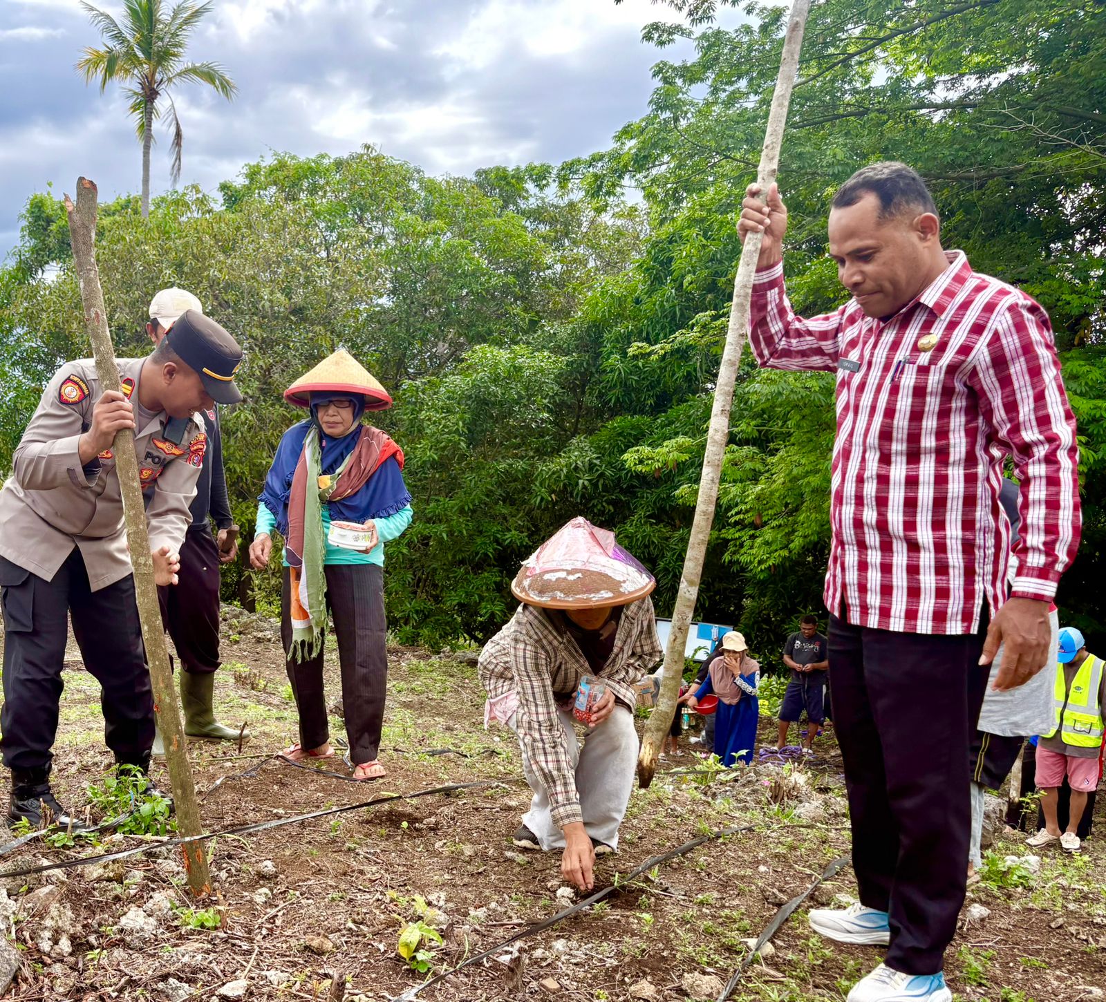 Wujudkan Ketahanan Pangan, Polsek dan Pemcat Wabula Tanam Jagung