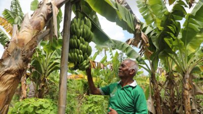 Reforma Agraria di Desa Baumata Kupang, Tingkatkan Penghasilan Petani