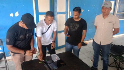 Gagalkan Aksi Ambil Tempelan Sabu, Empat Pemuda di Baubau Diserahkan ke Polisi dan BNN