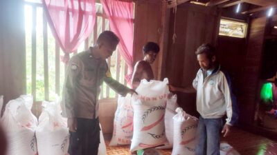 Bhabinkamtibmas Desa Waoleona Pantau Hasil Panen Jagung Milik Warga Binaan